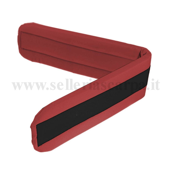 SOTTOSELLINO QH RACING 12541FT
