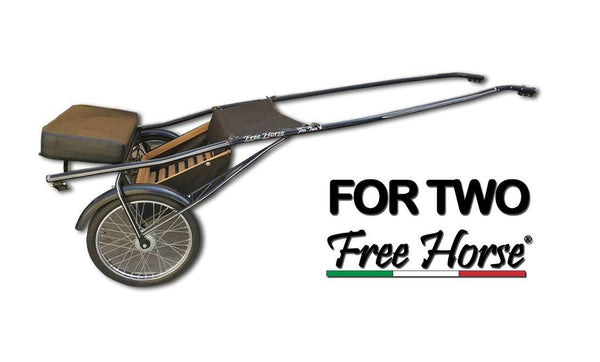JOG CART FORTWO 2 POSTI FREE HORSE