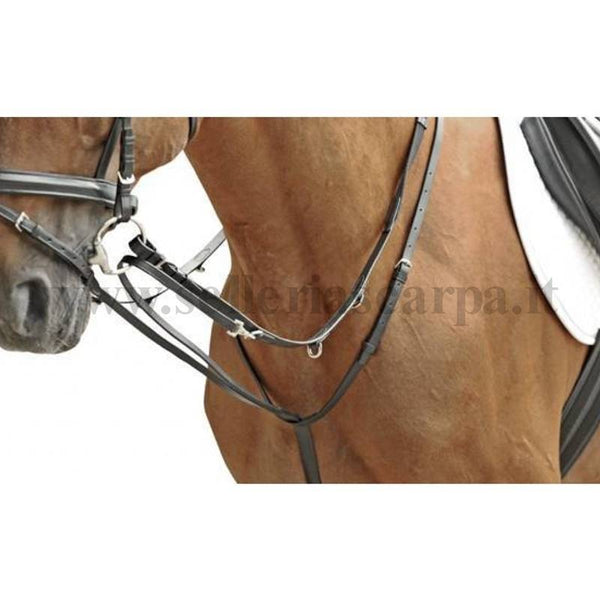 REDINI INGLESI THIEDEMANN COMBINATE 1806 HKM