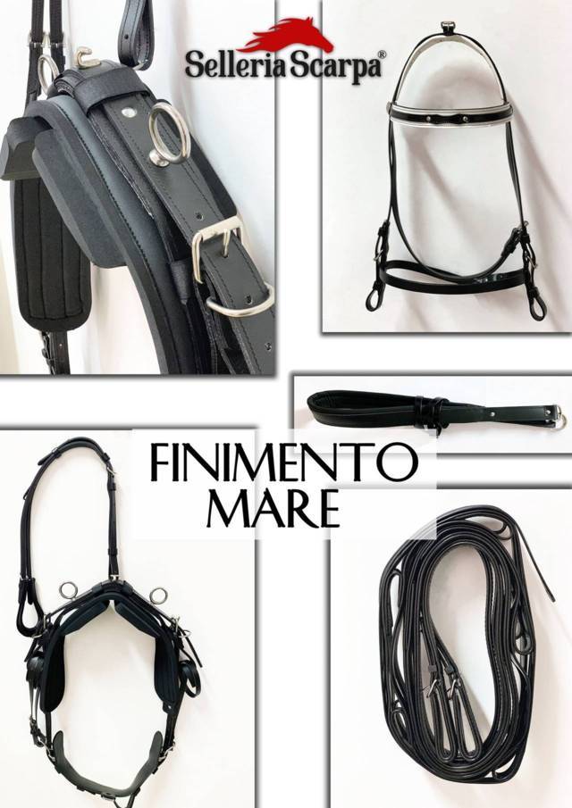 FINIMENTO MARE SELLERIA SCARPA