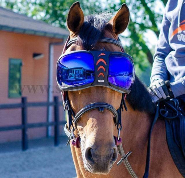 EVYSOR MASCHERA LENTE BLU EQUICK