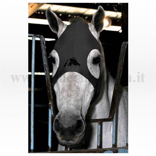 MASCHERA IN TITANIO SENZA COPRIORECCHIE FENWICK 328545