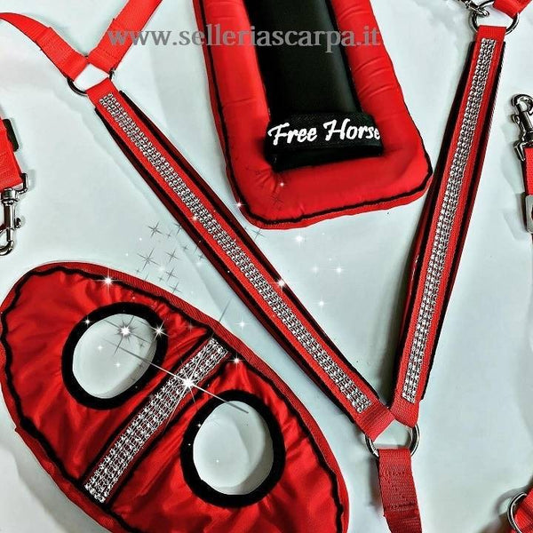 SHINE KIT FREE HORSE