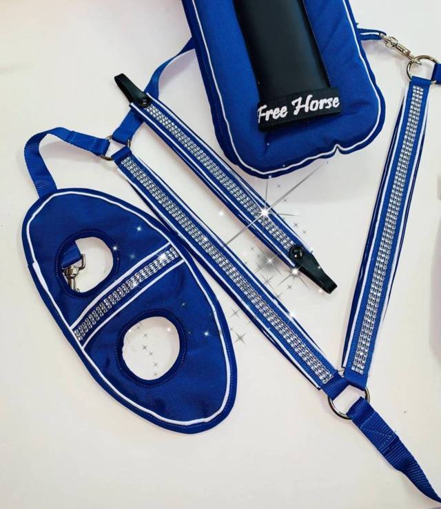SHINE KIT FREE HORSE
