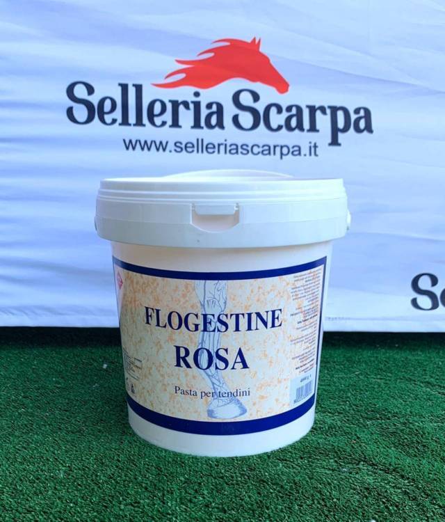 FLOGESTINA ROSA 4 Kg FM ITALIA