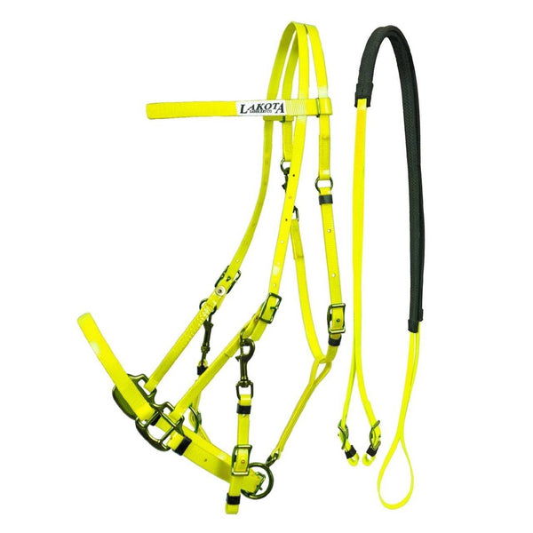 BRIGLIA CAVEZZA ENDURANCE LAKOTA