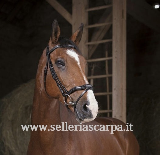 BRIGLIA DECOUPE SENZA REDINI NORTON