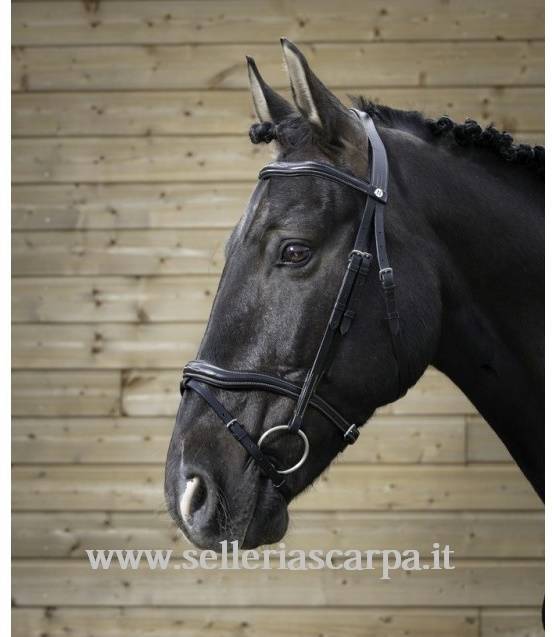 BRIGLIA DECOUPE SENZA REDINI NORTON