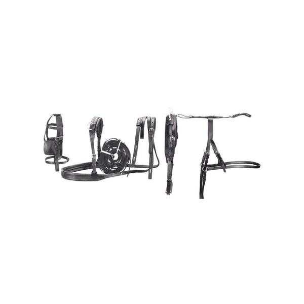 FINIMENTO CALESSE CAMPANO UMBRIA EQUITAZIONE SE00570E