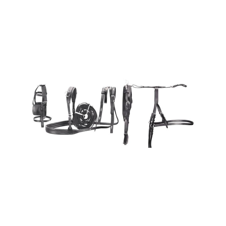 FINIMENTO CALESSE CAMPANO UMBRIA EQUITAZIONE SE00570E