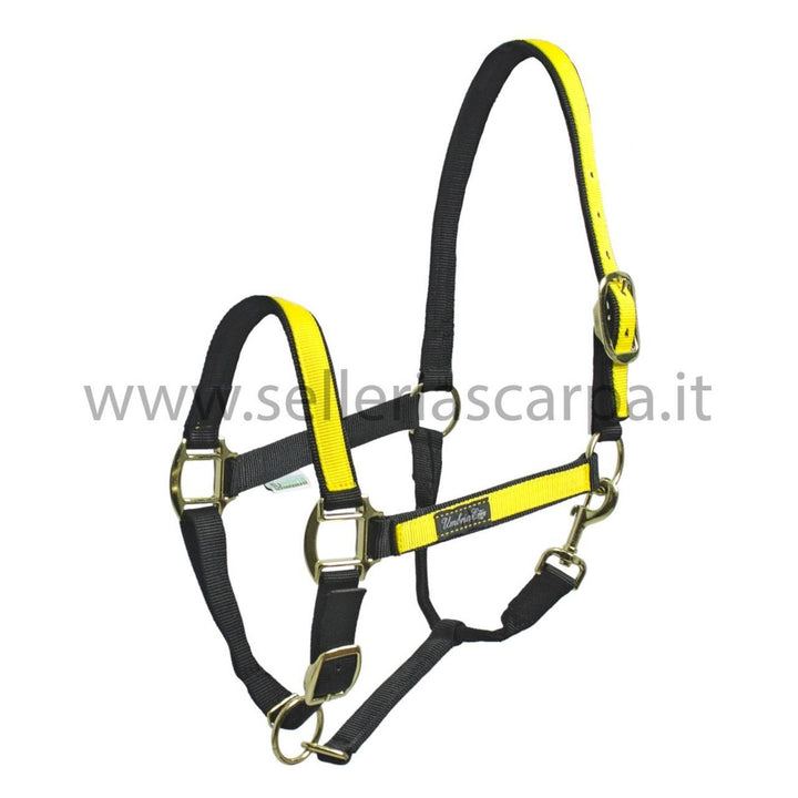 CAVEZZA NYLON CON RIPORTO COLORATO