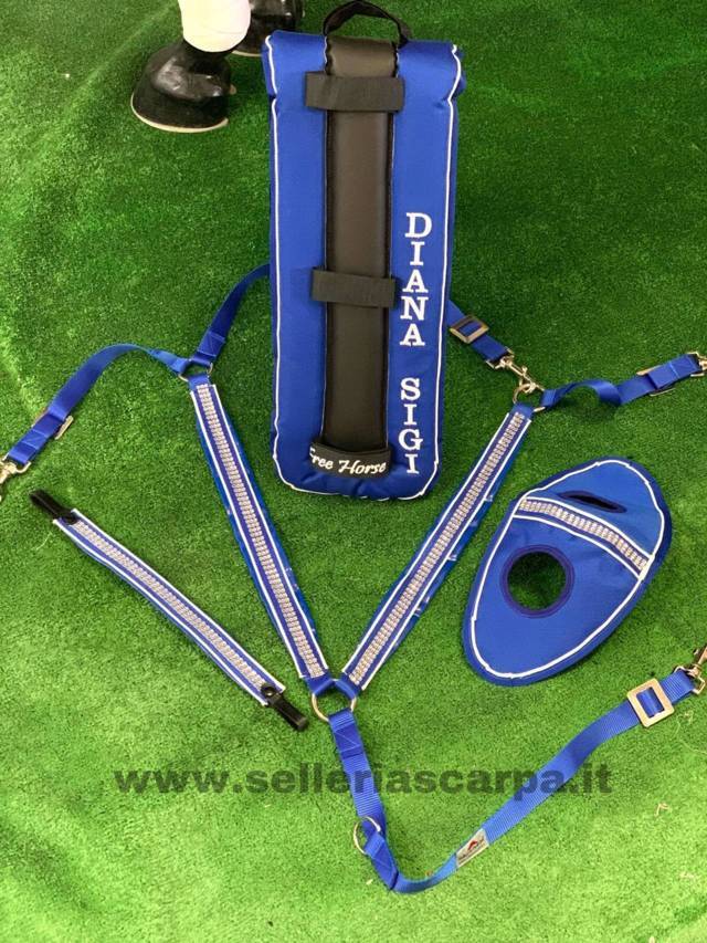 SHINE KIT CON RICAMO FREE HORSE