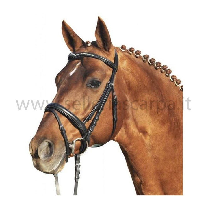 BRIGLIA IMBOTTITA CON FRONTALINO A V 5638 HKM