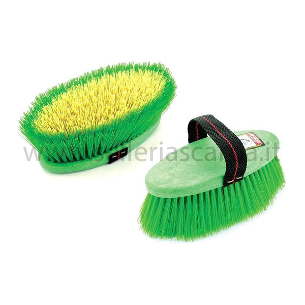 BRUSCA SETOLE ALTE AG00089 UMBRIA EQUITAZIONE