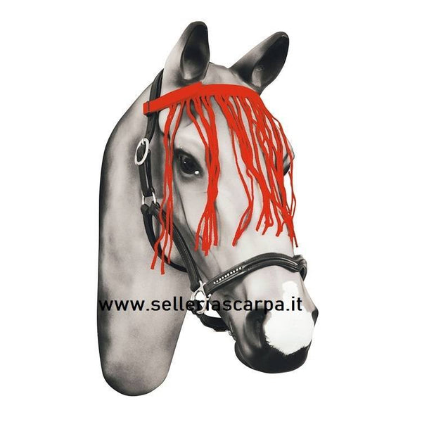 FRONTALINO C/FRANGE ANTIMOSCA VA00174B