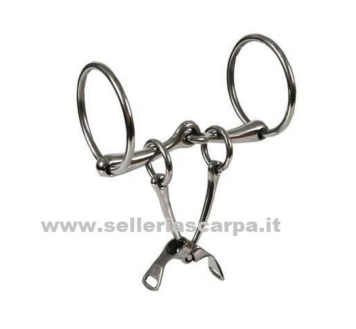 MORSO E FILETTO NORTON BIT ZILCO