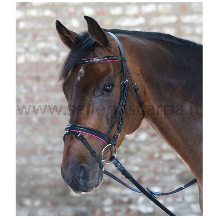 BRIGLIA INGLESE MINISHETTY WALDHAUSEN 81357054
