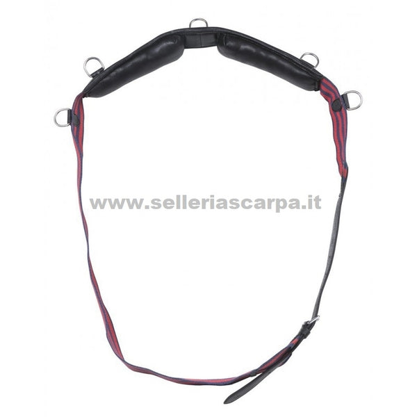 FASCIONE DOMA CUOIO CON ANELLI NORTON