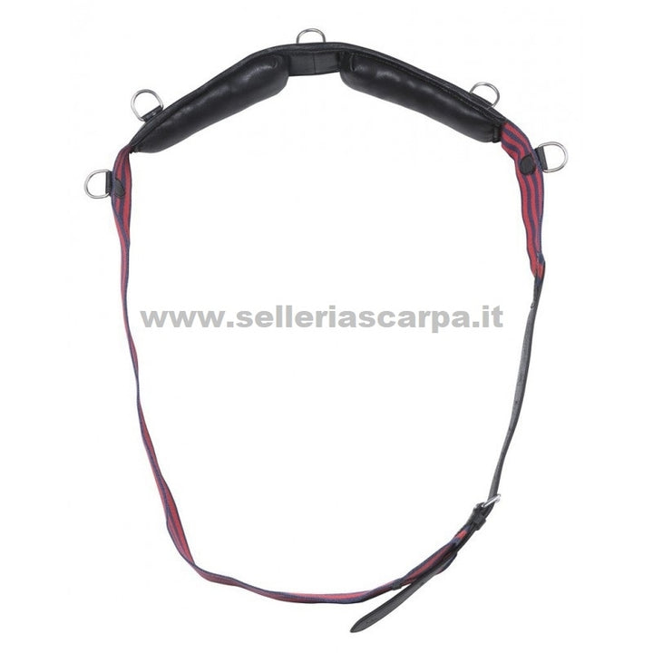 FASCIONE DOMA CUOIO CON ANELLI NORTON