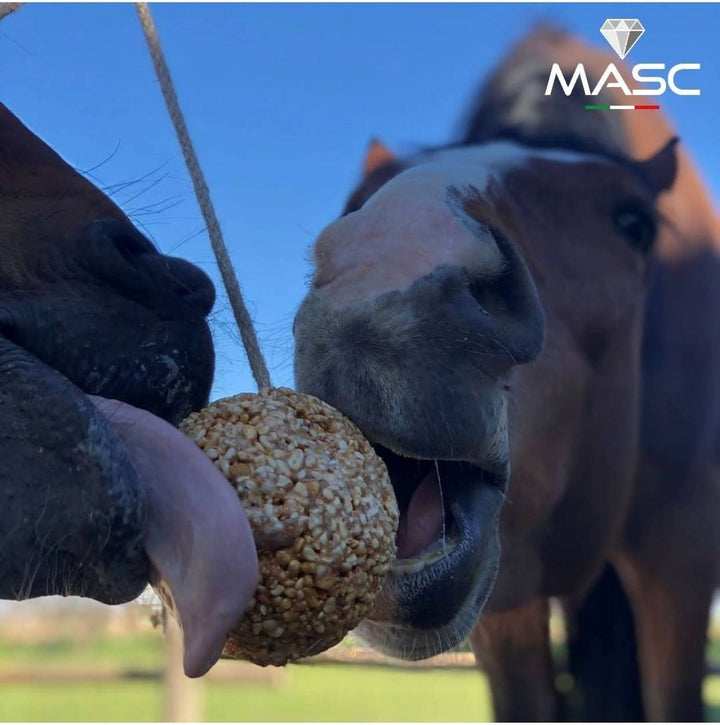 SWEET BALL PALLA CEREALI 600G MASC