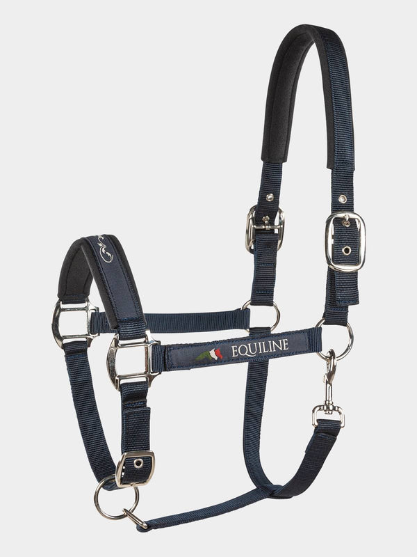 CAVEZZA EQUILINE TIMMY E00123