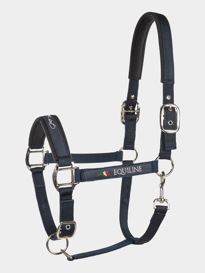 CAVEZZA EQUILINE TIMMY E00123