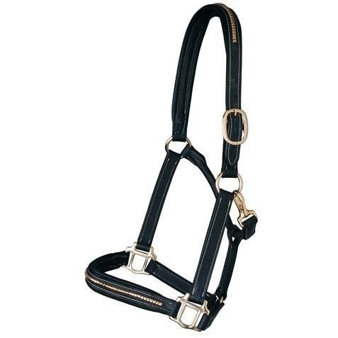 CAPEZZA CLINCHER OTTONE PARIANI