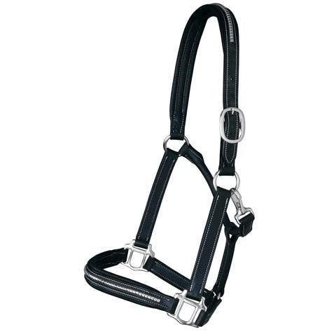 CAPEZZA CLINCHER NICKEL PARIANI