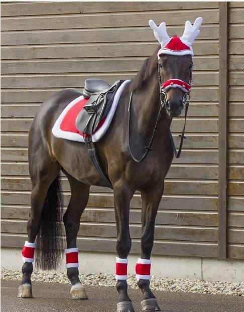 NASALINA NATALE SELLERIA SCARPA 1051