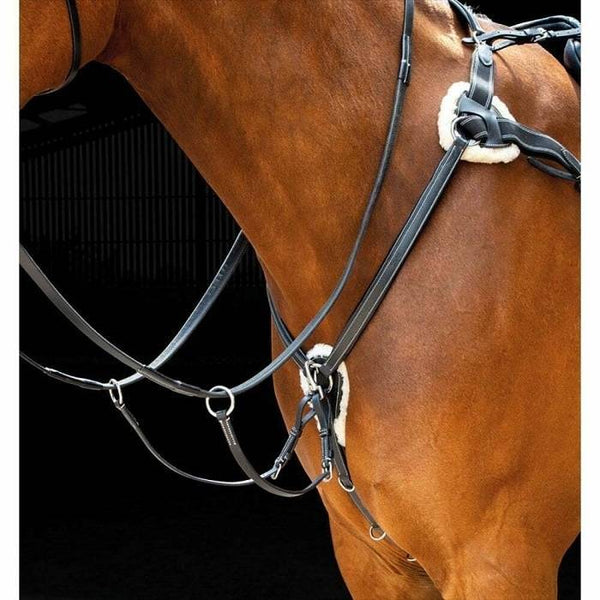 PETTORALE SHIRES 5 PUNTE