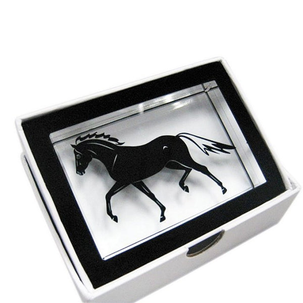 CUBO DI VETRO CON CAVALLO