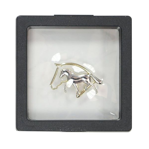 SPILLA CAVALLO E TESTA