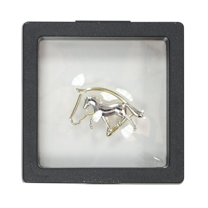 SPILLA CAVALLO E TESTA