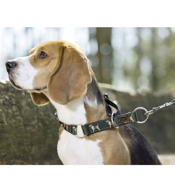 COLLARE CANI NYLON BEAGLE 12953 HKM