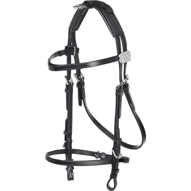 BRIGLIA SPAROCCHIATA MATERIALE BETA