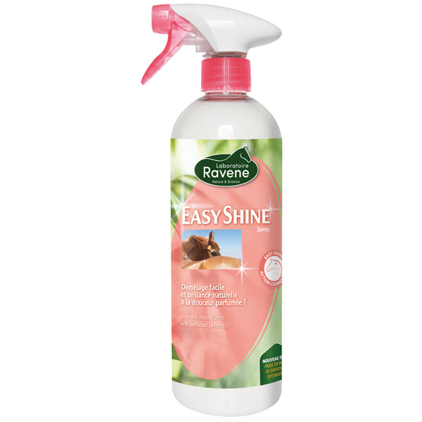 EASY SHINE RAVENE 750 ML