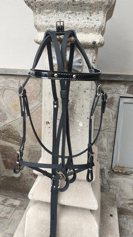 BRIGLIA SPAROCCHIATA COMPLETA IN BETA 110RT