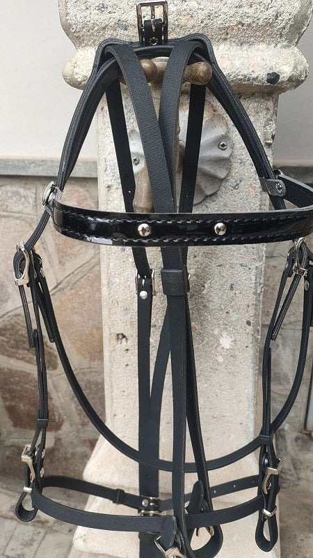 BRIGLIA SPAROCCHIATA COMPLETA IN BETA 110RT