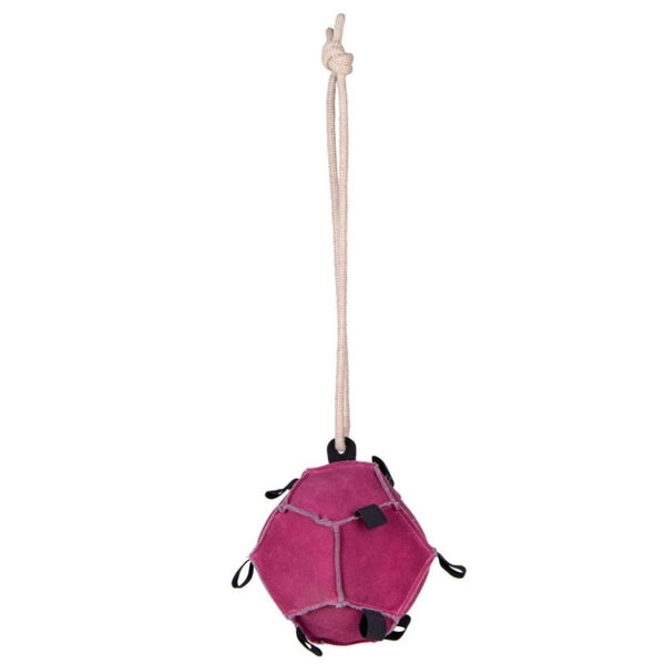 Cavallo giocattolo Toy ball