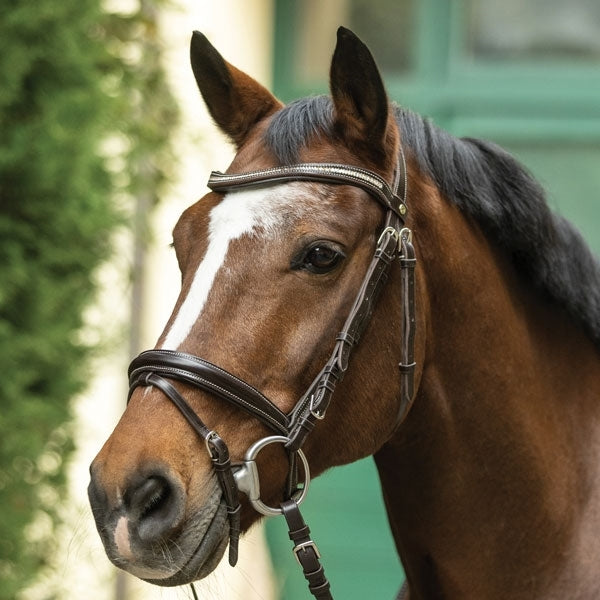 BRIGLIA CUOIO CRYSTAL BICOLOR C/REDINI PARIANI