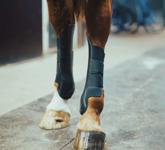 STIVALETTI POSTERIORIRACE-MASTER HIND BOOTS, LONG (PAIR) 329989