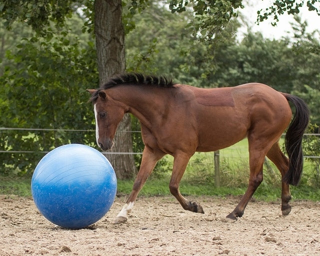 PALLA PER CAVALLI Horse football 8005
