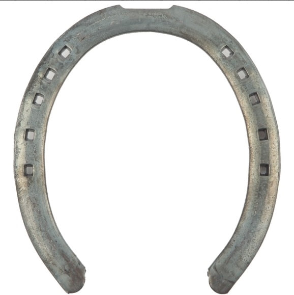 MEZZOTONDO ANTERIORE 1 BARBETTA 15X5 KERCKHAERT