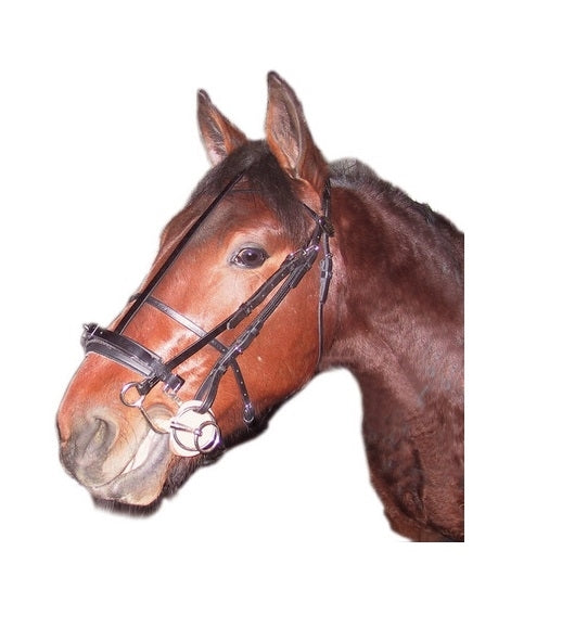 CAVEZZINO RAVIHACKAMORE 05039