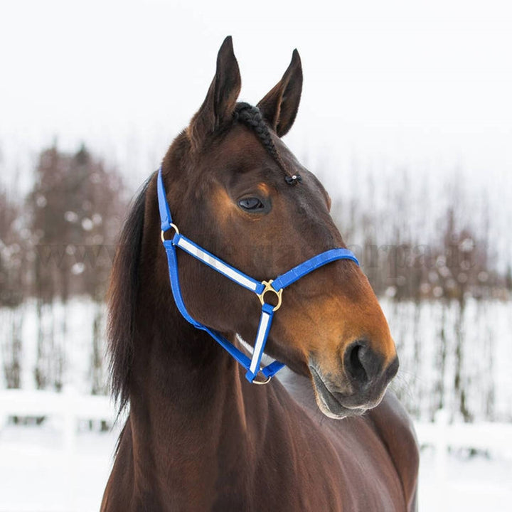 CAVEZZA NYLON FREE HORSE