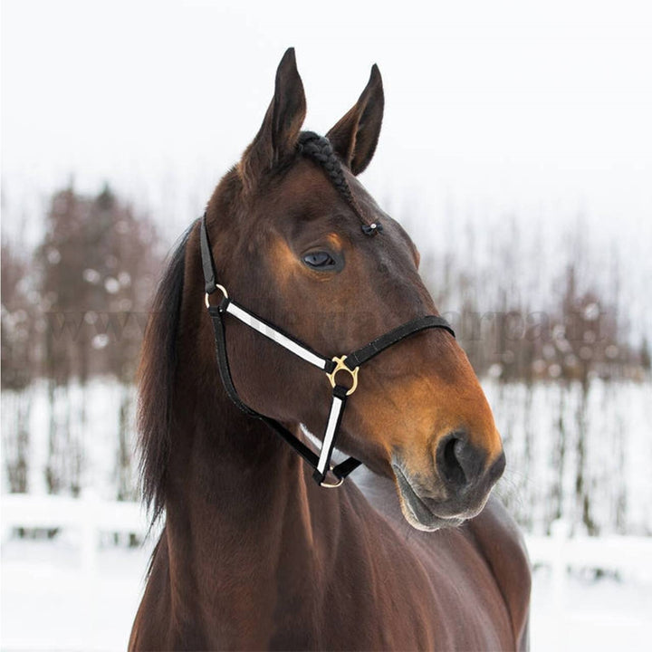 CAVEZZA NYLON FREE HORSE