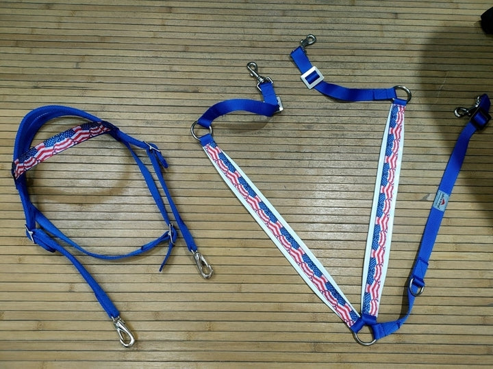 SET TESTIERA + PETTORALE NYLON USA SENZA REDINI