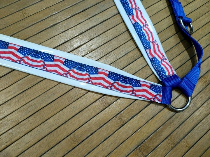 SET TESTIERA + PETTORALE NYLON USA SENZA REDINI