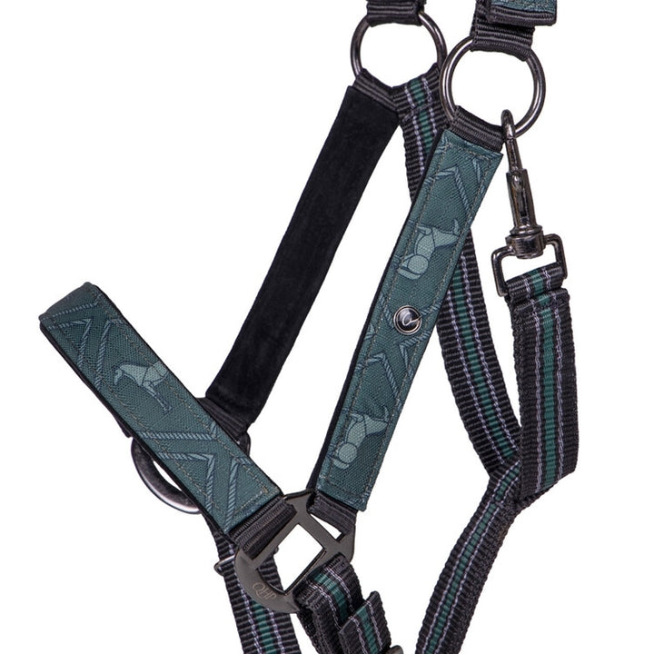 CAVEZZA e LUNGHINA EMERALD QHP 1182