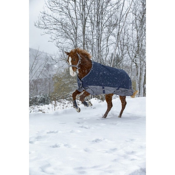 COPERTA PADDOCK 150G 400910 EQUITHÈME